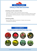 Load image into Gallery viewer, Rarita Jeju 8 Aquamarine Soothing Gel (99% Red Sea Cucumber Gel) 300ml