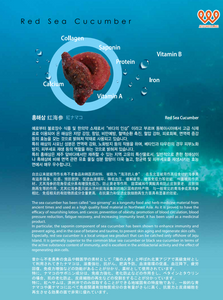 Jeju Seacucumber Jelly (10g x 30 sachets)